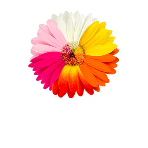 (c) Almasanar-shop.ch